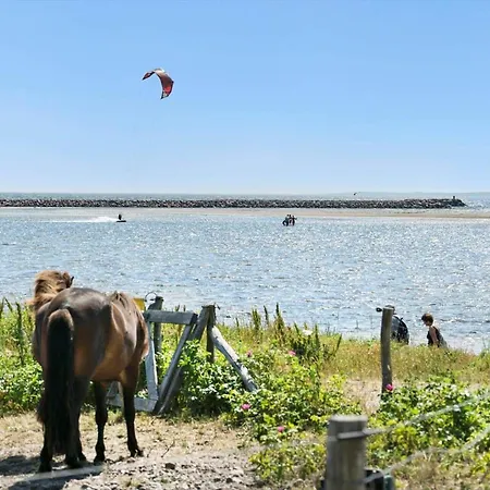 84259-ebeltoft-oer-hojden-34 Casa vacanze