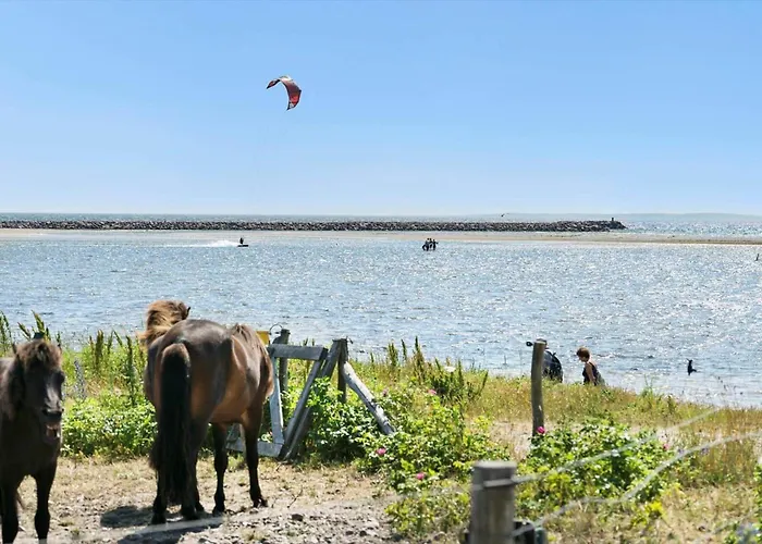 84259-ebeltoft-oer-hojden-34 Semesterbostad